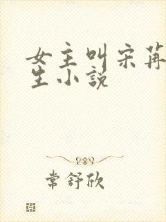 女主叫宋苒的重生小说