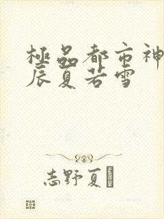 极品都市神医叶辰夏若雪