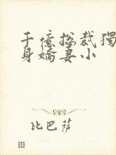 千亿总裁独宠替身娇妻小