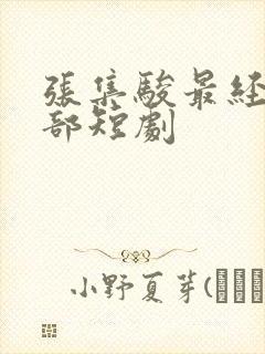 张集骏最经典十部短剧