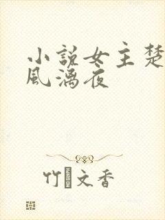 小说女主楚倾歌风漓夜
