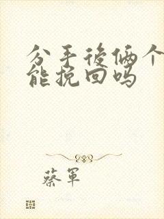 分手后俩个月还能挽回吗