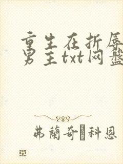 重生在折辱清冷男主txt网盘链接
