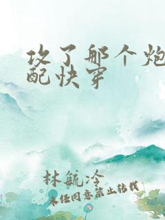 攻了那个炮灰男配快穿