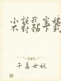 小说我家娘子,不对劲下载