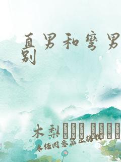 直男和弯男的区别