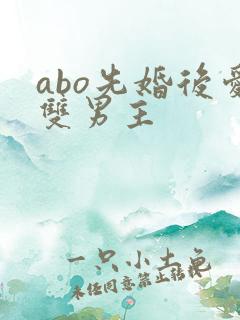 abo先婚后爱双男主