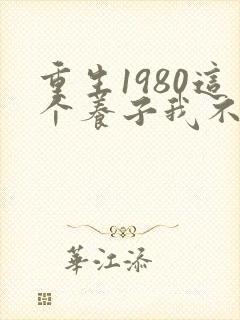 重生1980这个养子我不当了短剧免费