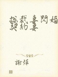 总裁妻闪婚总裁契约妻