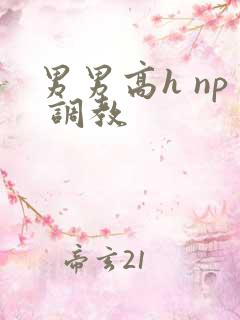 男男高h np 调教