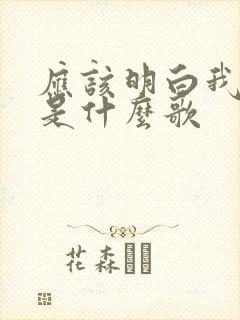 应该明白我的爱是什么歌