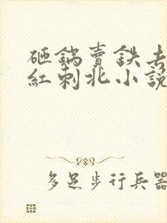 砸锅卖铁去上学红刺北小说全文免费阅读全文