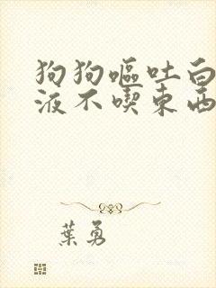 狗狗呕吐白沫黏液不吃东西