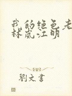 我的绝色老板娘林岚江明