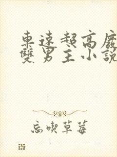 车速超高废文的双男主小说推荐完结