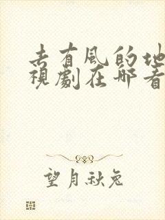 去有风的地方电视剧在哪看