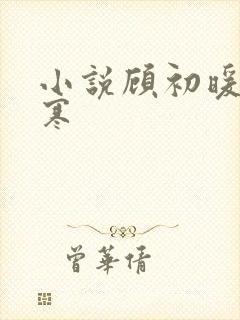 小说顾初暖夜景寒