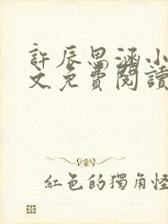 许辰思涵小说全文免费阅读最新章节