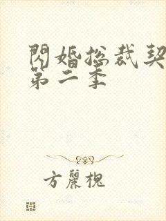 闪婚总裁契约妻第二季