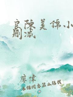 良陈美锦小说无删减