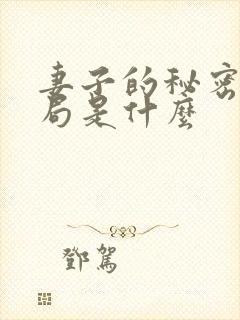 妻子的秘密大结局是什么