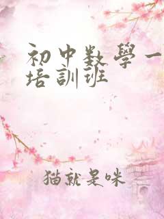 初中数学一对一培训班