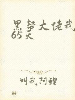 黑帮大佬我的365天