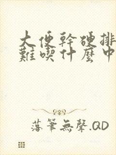 大便干硬排便困难吃什么中成药