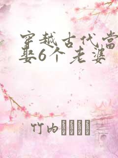 穿越古代当秀才娶6个老婆