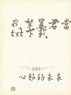 我拿暴君当替身txt下载