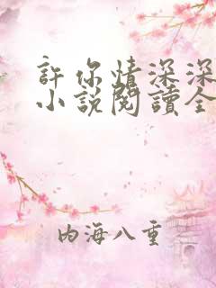 许你情深深似海小说阅读全部