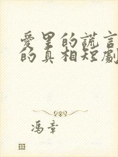 爱里的谎言仇恨的真相短剧在线播放