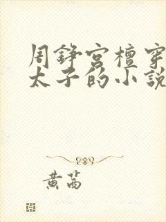 周铮宫檀穿越成太子的小说