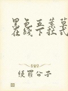 黑色五叶草漫画在线下拉式