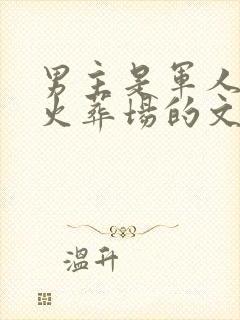 男主是军人追妻火葬场的文