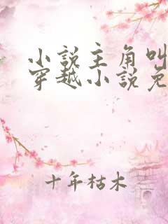 小说主角叫李辰穿越小说免费阅读