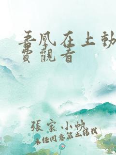 吾凰在上动漫免费观看