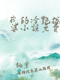 我的冷艳总裁老婆小说免费