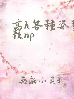 高h各种姿势调教np