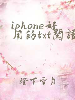 iphone好用的txt阅读器