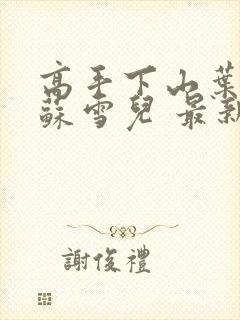 高手下山叶君临苏雪儿 最新章节