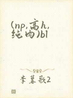 (np,高h,纯肉)bl