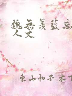 魏无羡蓝忘机同人文