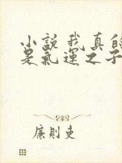 小说 我真的不是气运之子