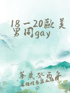 18一20欧美男同gay