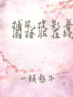 捕风捉影普通话国语版在线播放