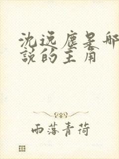 沈逸尘是哪本小说的主角