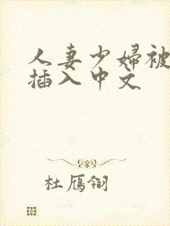 人妻少妇被猛烈插入中文