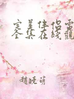 完美伴侣电视剧全集在线观看免费