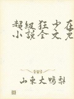 超级狂少在都市小说全文免费阅读